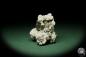 Preview: Dolomite XX on Sphalerit XX (12581) a mineral from Romania | Minerals | Global