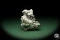 Preview: Dolomite XX on Sphalerit XX (12581) a mineral from Romania | Minerals | Global