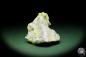 Preview: Celestine XX on Sulfur (12583) a mineral from Poland | Minerals | Global