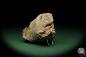 Preview: Baryte XX (12590) a mineral from Germany | Minerals | From Germany