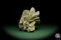 Preview: Gypsum XX (12623) a mineral from Mexico | Minerals | Global