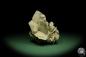 Preview: Gypsum XX (12623) a mineral from Mexico | Minerals | Global