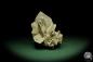 Preview: Gypsum XX (12623) a mineral from Mexico | Minerals | Global