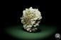 Preview: Gypsum XX (12642) a mineral from Kazakhstan | Minerals | Global