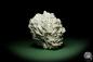 Preview: Gypsum XX (12642) a mineral from Kazakhstan | Minerals | Global