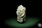 Preview: Gypsum XX (12642) a mineral from Kazakhstan | Minerals | Global