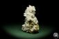 Preview: Gypsum XX (12644) a mineral from Romania | Minerals | From Germany