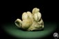 Preview: Glycymeris spec. (12724) a shell from Italy | Fossils | Shells & Brachiopods