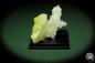 Preview: Brucite XX (12866) a mineral from Pakistan | Minerals | Global