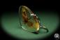 Preview: Scamandra spec. (13346) a gem from Acrylic from Southeast Asia | Nature jewelry | From Acrylic