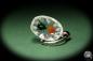 Preview: Popillia mutans (13664) a gem from Acrylic from China | Nature jewelry | From Acrylic