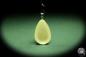 Preview: Podontia lutea (13857) a gem from Acrylic from China | Nature jewelry | From Acrylic