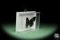 Preview: Diaethria eluina lidwina (14508) a butterfly from South America | Taxidermy | Butterflies