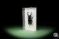 Preview: Hexarthrius parryi (14928) a beetle from Indonesia | Taxidermy | Beetles