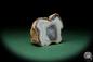 Preview: Agate (15039) a mineral from Czech Republic | Minerals | Global