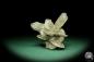 Preview: Gypsum XX (15045) a mineral from Germany | Minerals | From Germany