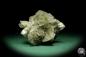 Preview: Gypsum XX (15058) a mineral from Germany | Minerals | From Germany