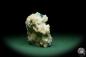 Preview: Cavansite XX on Stilbite XX (15060) a mineral from India | Minerals | Global