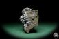 Preview: Galena XX (15071) a mineral from Poland | Minerals | Global