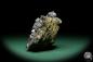 Preview: Galena XX (15071) a mineral from Poland | Minerals | Global