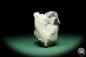 Preview: Adularia XX (15074) a mineral from Russia | Minerals | Global