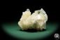 Preview: Desmine XX & Apophyllite XX (15077) a mineral from India | Minerals | Global