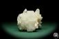 Preview: Desmine XX & Apophyllite XX (15077) a mineral from India | Minerals | Global