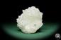 Preview: Apophyllite XX (15078) a mineral from India | Minerals | Global