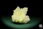 Preview: Celestine XX and Sulfur (15080) a mineral from Poland | Minerals | Global