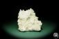 Preview: Apophyllite XX on Prehnite XX (15094) a mineral from India | Minerals | Global