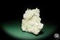 Preview: Apophyllite XX on Prehnite XX (15094) a mineral from India | Minerals | Global