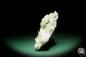 Preview: Apophyllite XX on Prehnite XX (15094) a mineral from India | Minerals | Global