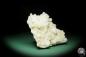 Preview: Apophyllite XX on Prehnite XX (15094) a mineral from India | Minerals | Global