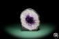 Preview: Amethyst XX (15645) ein Mineral aus Brasilien | Mineralien | Weltweit