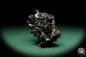 Preview: Black Tourmaline XX (15652) a mineral from Namibia | Minerals | Global