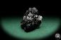 Preview: Black Tourmaline XX (15657) a mineral from Namibia | Minerals | Global