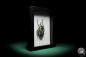 Preview: Goliathus goliatus var. conspersus (16421) a beetle from Africa | Taxidermy | Beetles