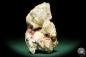 Preview: Liddicoatite (16840) a mineral from Madagascar | Minerals | Global