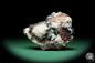 Preview: Hausmannite XX (16841) a mineral from South Africa | Minerals | Global