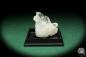 Preview: Rock Crystal XX (17900) a thumbnail from see pictures | Minerals | Thumbnails