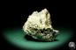 Preview: Pyrite & Calcite XX (19654) a mineral from Romania | Minerals | Global