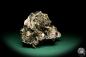 Preview: Muscovite (19690) a mineral from South America | Minerals | Global