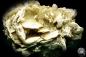 Preview: Gypsum XX (19700) a mineral from Kazakhstan | Minerals | Global