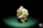 Preview: Gypsum XX (19700) a mineral from Kazakhstan | Minerals | Global