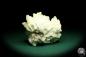 Preview: Barite XX with Calcite (19703) a mineral from Romania | Minerals | Global