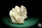 Preview: Quartz XX (19711) a mineral from Kazakhstan | Minerals | Global