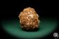 Preview: Aragonite XX (19899) a mineral from Spain | Minerals | Global