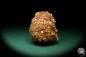 Preview: Aragonite XX (19899) a mineral from Spain | Minerals | Global