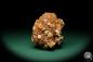 Preview: Aragonite XX (19899) a mineral from Spain | Minerals | Global