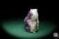 Preview: Amethyste XX (19908) a mineral from Brazil | Minerals | Global